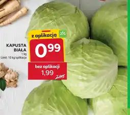 Stokrotka Kapusta Biała oferta