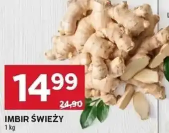 Stokrotka Imbir Świeży oferta