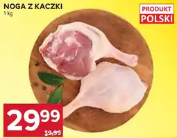 Stokrotka Noga z kaczki oferta