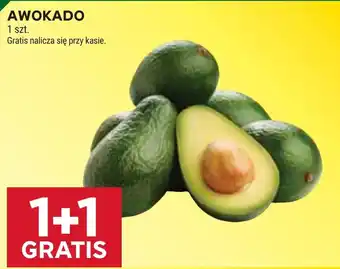Stokrotka Awokado oferta