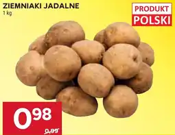 Stokrotka Ziemniaki Jadlane oferta