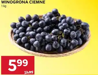 Stokrotka Winogrona Ciemne oferta