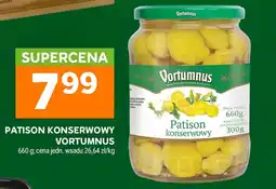 Stokrotka Patison konserwowy Vortumnus oferta