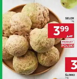 Stokrotka Seler oferta