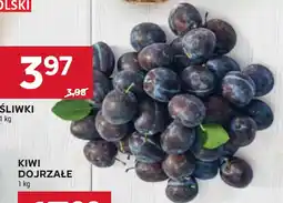 Stokrotka Śliwki oferta