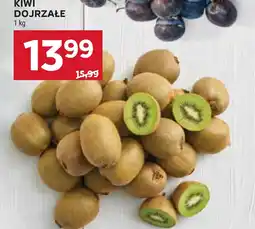 Stokrotka Kiwi Dojrzałe oferta