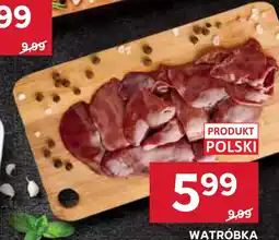 Stokrotka Watróbka oferta