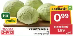 Stokrotka Kapusta Biała oferta