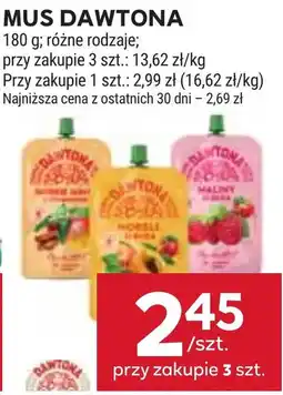 Stokrotka Mus Dawtona oferta