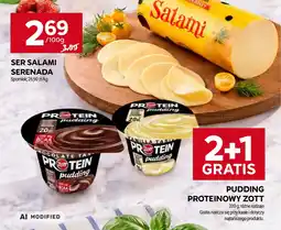 Stokrotka Pudding Proteinowy Zott oferta