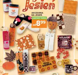Stokrotka AKCESORIA NA JESIEŃ oferta