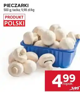 Stokrotka Pieczarki oferta