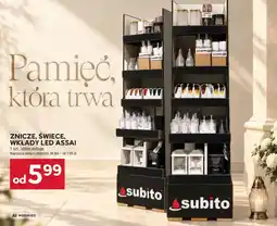 Stokrotka Znicze, świece, wkłady led assai oferta