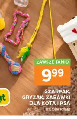 Stokrotka Szarpak, Gryzak, Zabawki dla Kota i Psa oferta