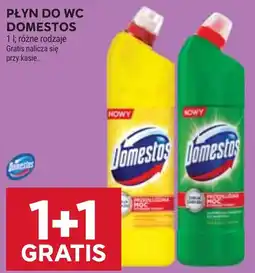Stokrotka Płyn do WC Domestos oferta