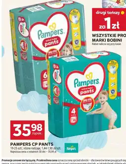 Stokrotka Pampers CP Pants oferta