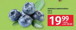 Selgros Borówka Amerykańska oferta
