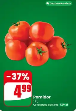 Dino Pomidor oferta