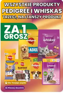 Dino Wszystkie produkty Pedigree i Whiskas oferta