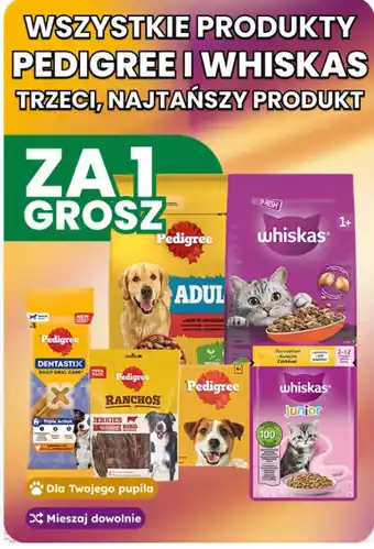Wszystkie produkty Pedigree i Whiskas
