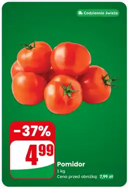 Dino Pomidor oferta