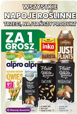 Dino Wszystkie napoje roślinne oferta