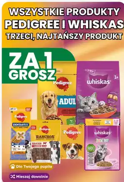 Dino Wszystkie produkty Pedigree i Whiskas oferta