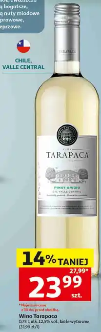 Wino Tarapaca Pinot Grigio