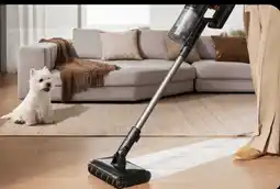 Biedronka Bezprzewodowy odkurzacz pionowy oferta