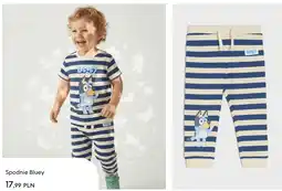 Sinsay Spodnie Bluey oferta