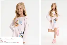 Sinsay Sukienka z falbankami Bluey oferta