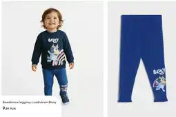 Sinsay Bawełniane legginsy z nadrukiem Bluey oferta