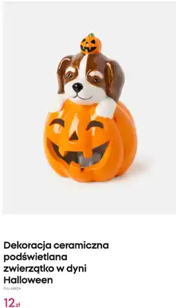Pepco Dekoracja ceramiczna podświetlana zwierzątko w dyni Halloween oferta