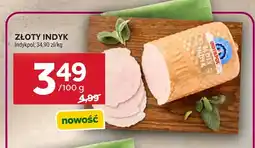 Stokrotka Złoty indyk Indykpol oferta