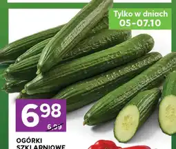 Stokrotka Ogórki szklarniowe oferta
