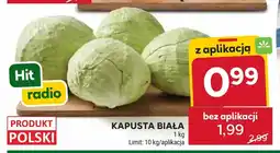 Stokrotka Kapusta biała oferta