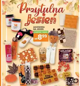 Stokrotka Akcesoria na jesień oferta