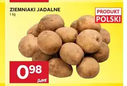 Stokrotka Ziemniaki jadalne oferta