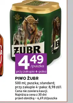 Stokrotka Express Piwo Żubr oferta