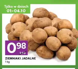Stokrotka Ziemniaki jadalne oferta