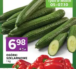 Stokrotka Express Ogórki oferta
