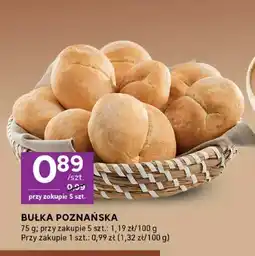 Stokrotka Bułka poznańska oferta