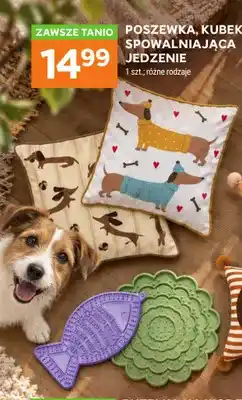 Stokrotka Poszewka oferta