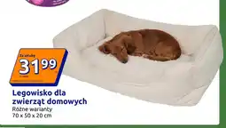 Action Legowisko dla zwierząt domowych 70x50x20 cm oferta