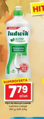 EMMA market Płyn do naczyń Ludwik oferta
