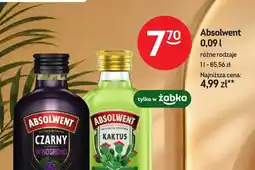 Żabka Absolwent czarny winogrono oferta