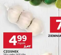 Stokrotka Czosnek oferta