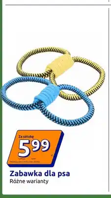 Action Zabawka dla psa oferta