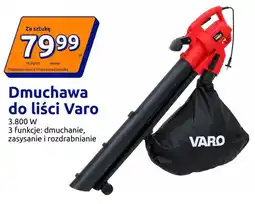 Action Dmuchawa do liści Varo oferta