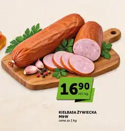 ABC Kiełbasa żywiecka M & W oferta